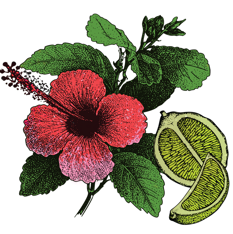 Hibiscus con Limón